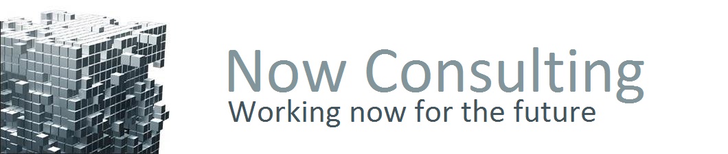 Now Consulting Logo